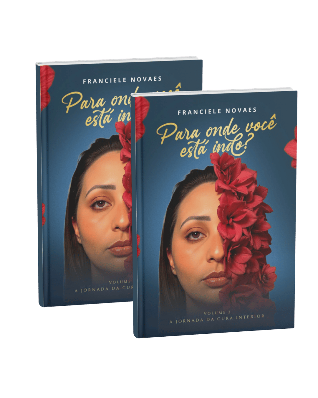 Capa do volume 2 do livro Para onde você está indo?